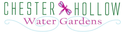 Chester Hollow Water Gardens Pond Retail Services